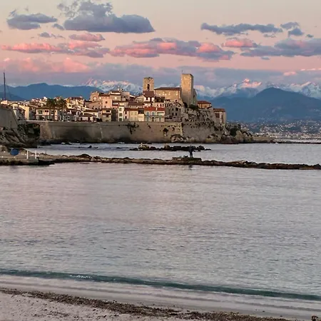 Appartement Centre Dernier Etage 2 Pieces Antibes